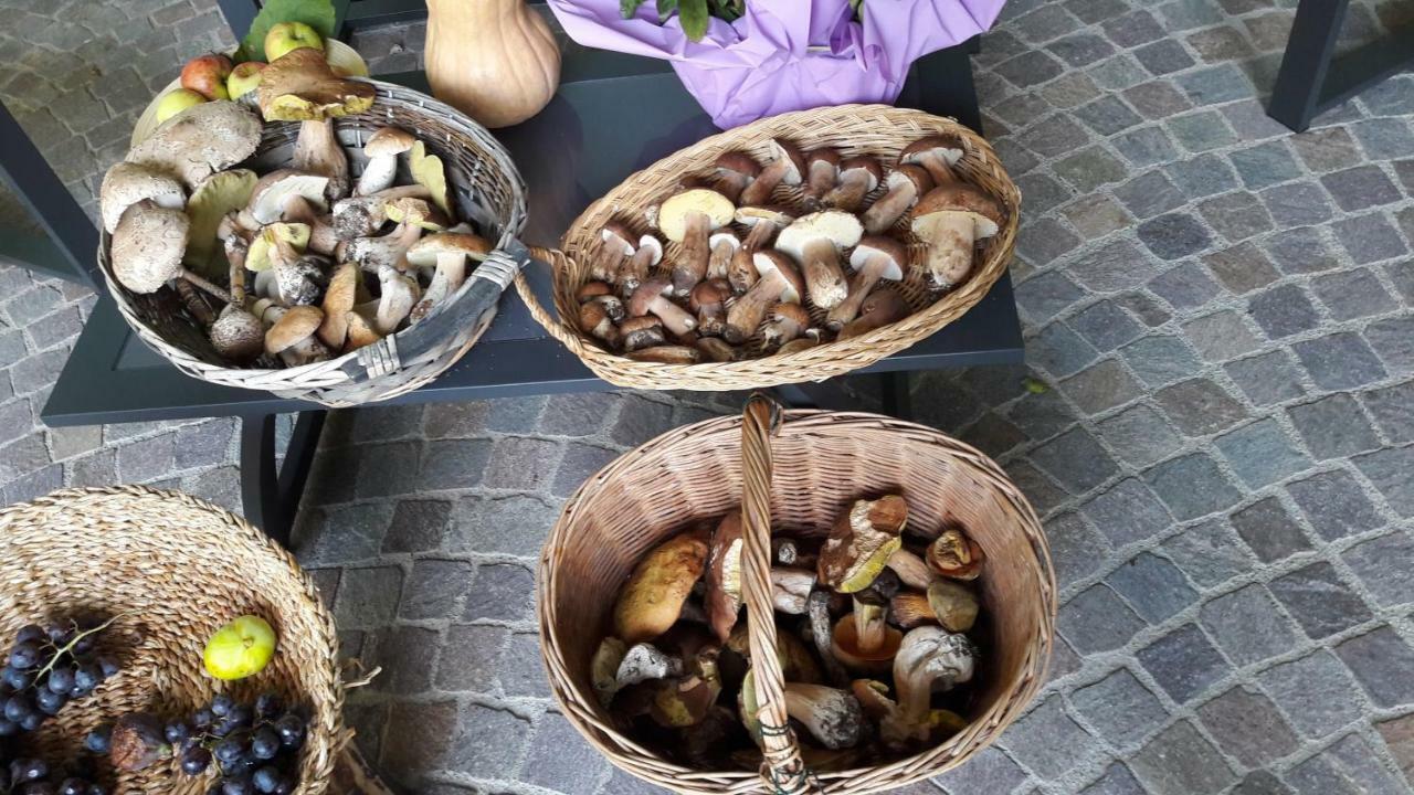 Vakantieboerderij Maso Tobel
